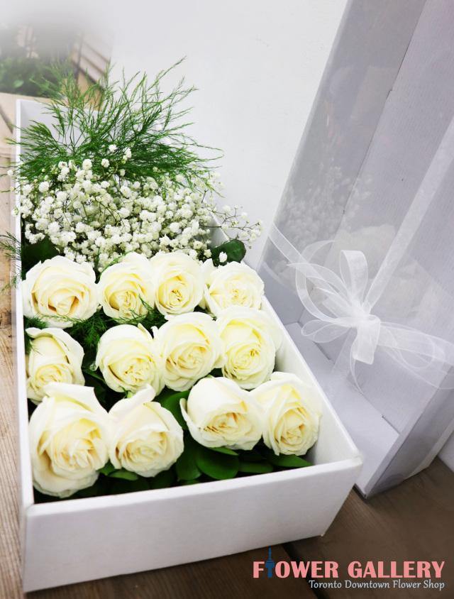 12 WHITE ROSES IN A BOX - Toronto Flower Gallery