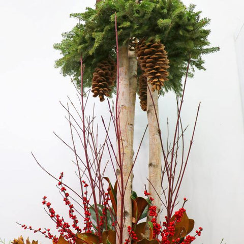 Meet Me Under the Mistletoe