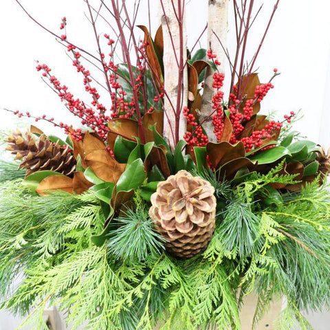 Meet Me Under the Mistletoe