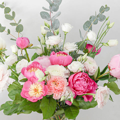 Blessed Blossoms
