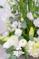 Morning Dew - Toronto Flower Gallery