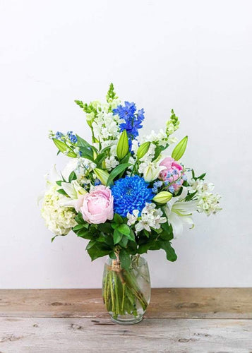 Blue Rain Blossom (Blue Mum) - Toronto Flower Gallery